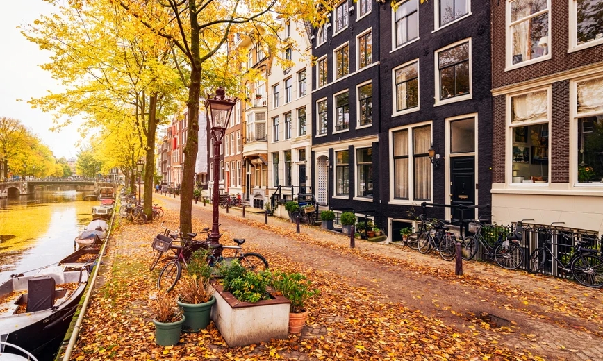 Waarom Nederland weigerde herfstbladeren te oogsten