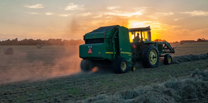 Nederland sluit 3.000 boerderijen om klimaatverandering tegen te gaan