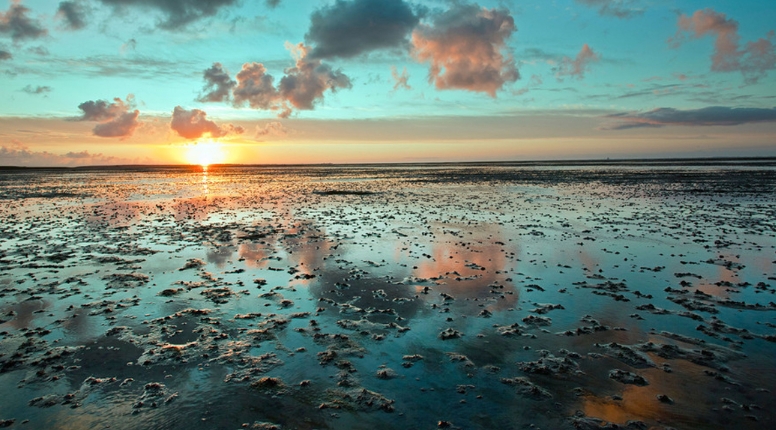 Nederland, Duitsland en Denemarken besloten de Waddenzee beter te beschermen