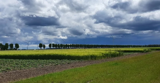 Nederland is de tweede grootste exporteur van landbouwgoederen ter wereld